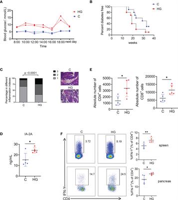 Sustained high glucose intake accelerates type 1 diabetes in NOD mice